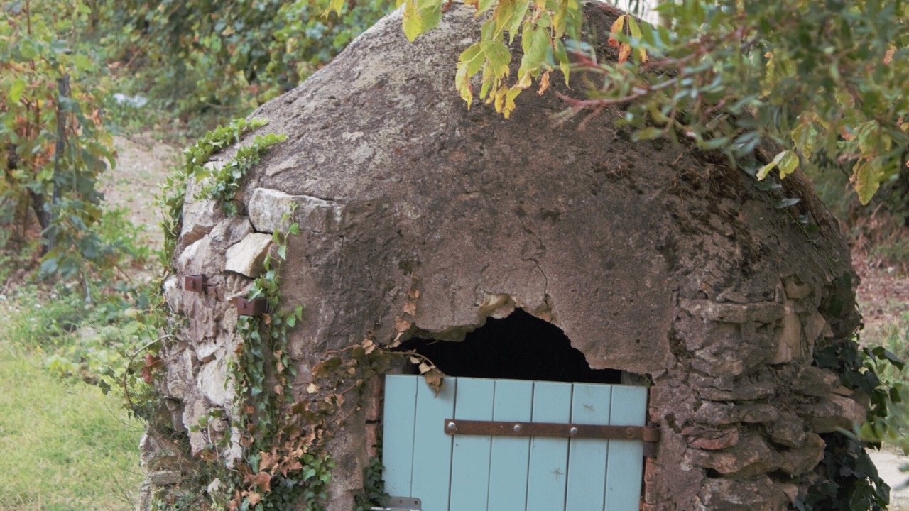 Photo of Outdoor in Correns