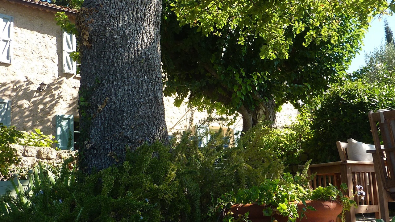 Photo of Outdoor in Tourtour