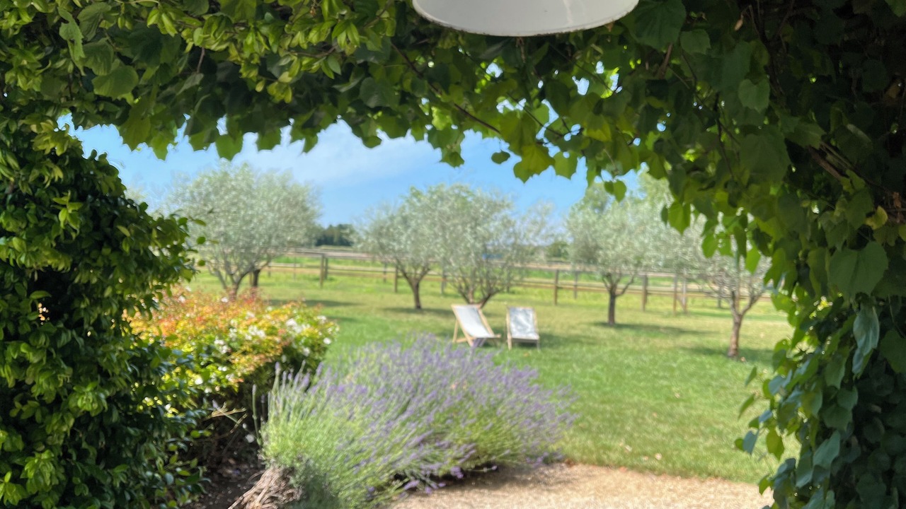 Photo of Outdoor in Le Thor