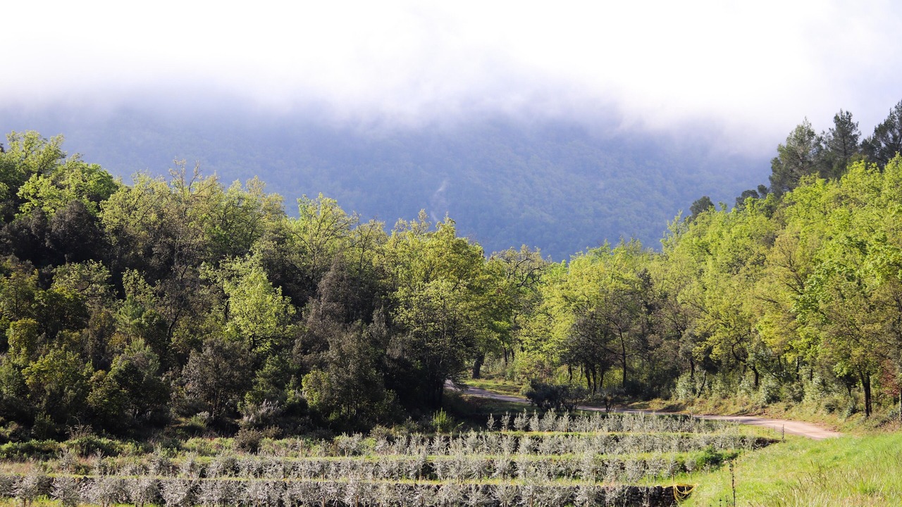 Photo of Outdoor in La Celle