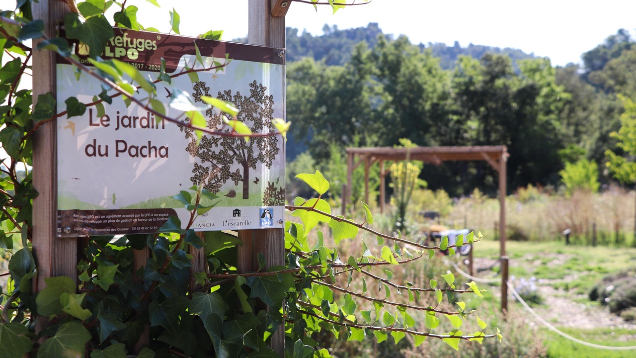 Photo of Outdoor in La Celle