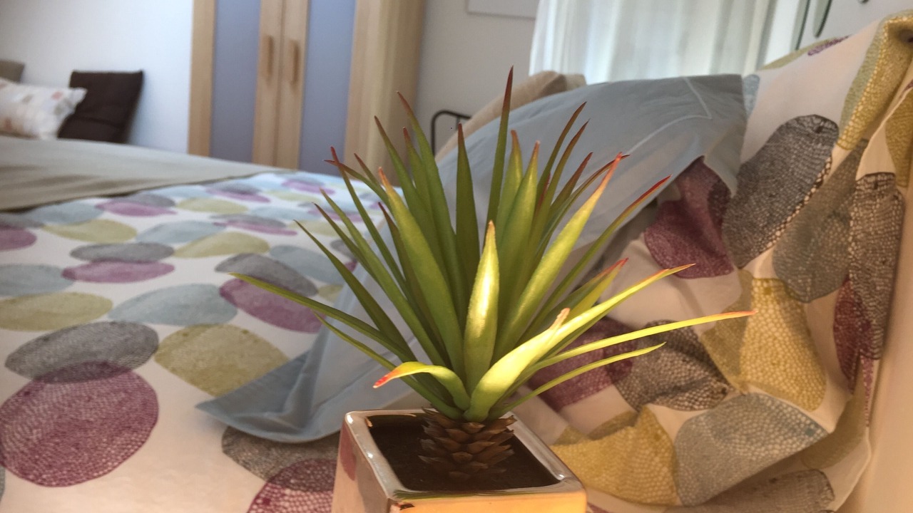 Photo of Bedroom in Curbans
