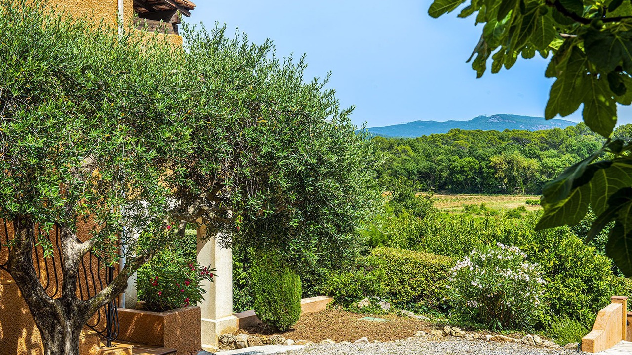 Photo of Outdoor in Figanieres