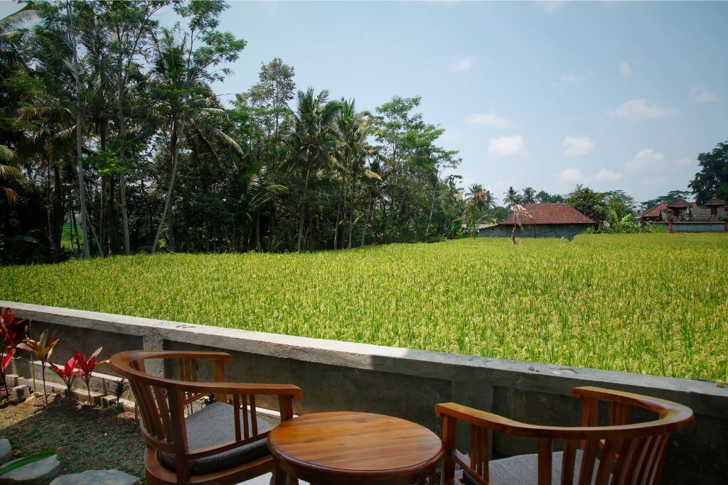 Photo of Outdoor in Melayang