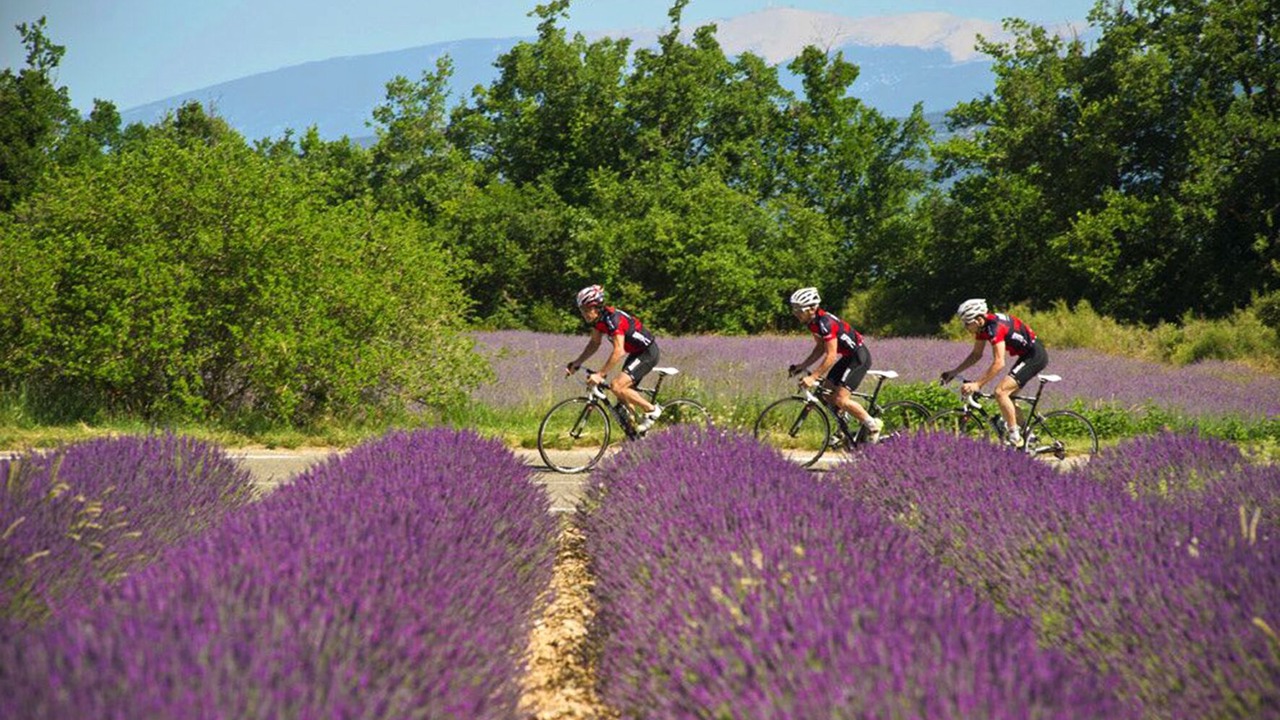 Photo of Outdoor in Simiane-la-Rotonde