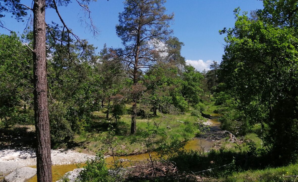 Photo of Outdoor in Simiane-la-Rotonde