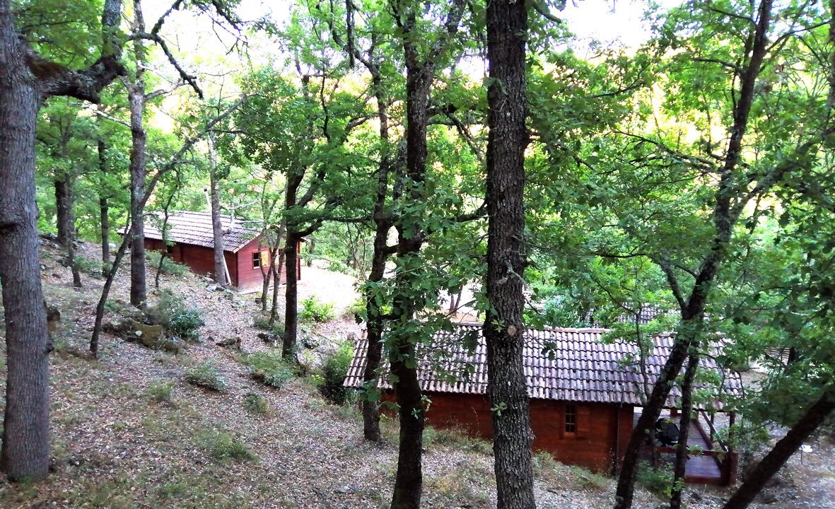 Photo of Outdoor in Simiane-la-Rotonde