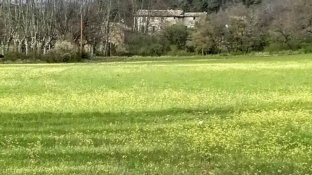 Photo of Outdoor in Simiane-la-Rotonde