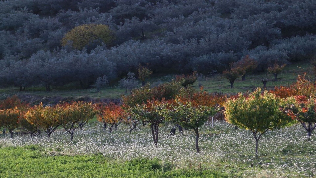 Photo of Outdoor in Mollans-sur-Ouveze