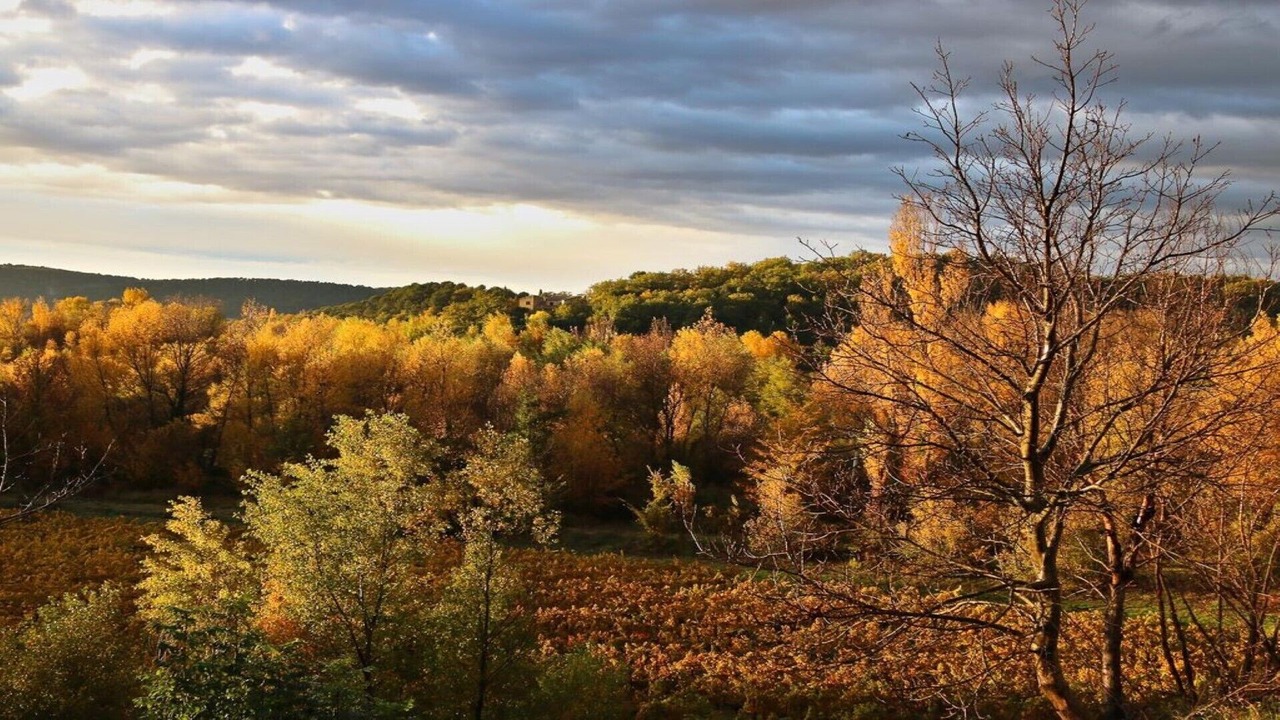 Photo of Outdoor in Mollans-sur-Ouveze