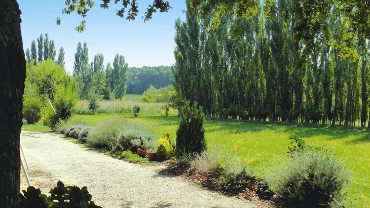 Photo of Outdoor in Beaucaire