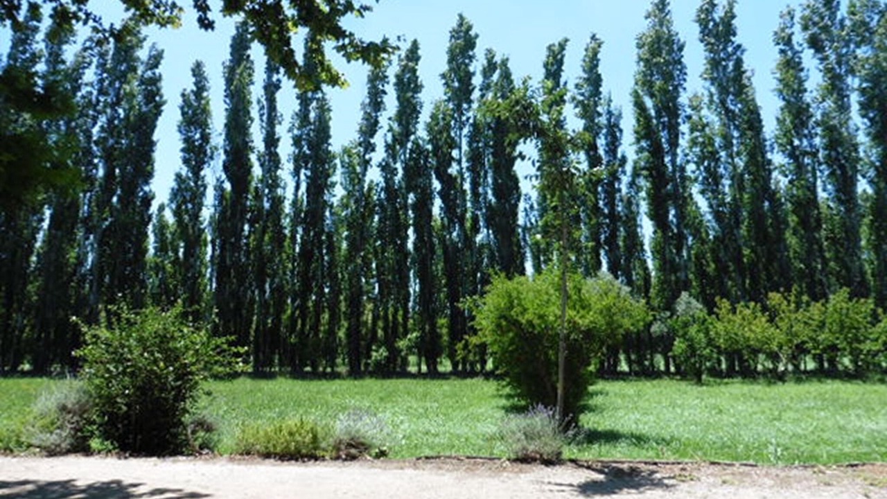 Photo of Others in Beaucaire