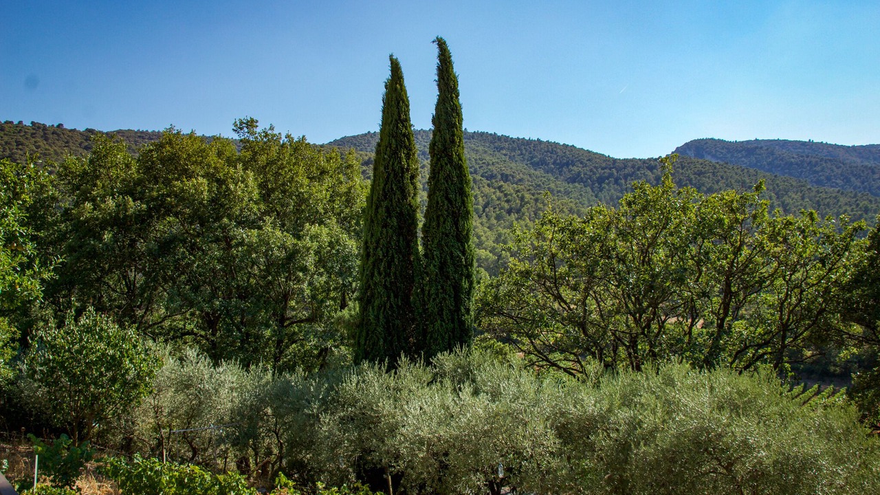 Photo of Outdoor in Menerbes