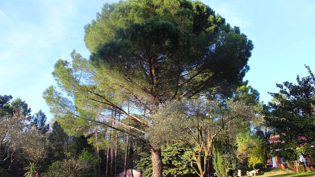 Photo of Outdoor in Bollene