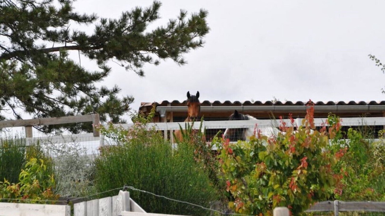 Photo of Outdoor in Sisteron