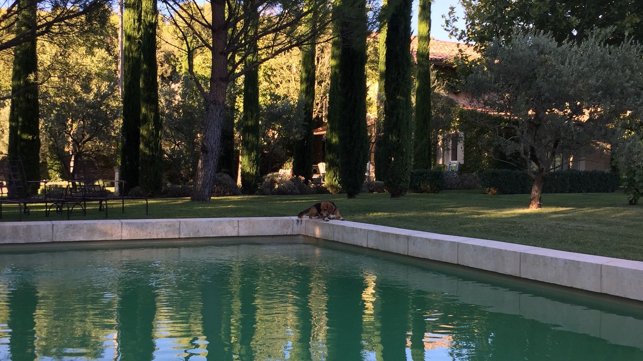 Photo of Outdoor in Menerbes