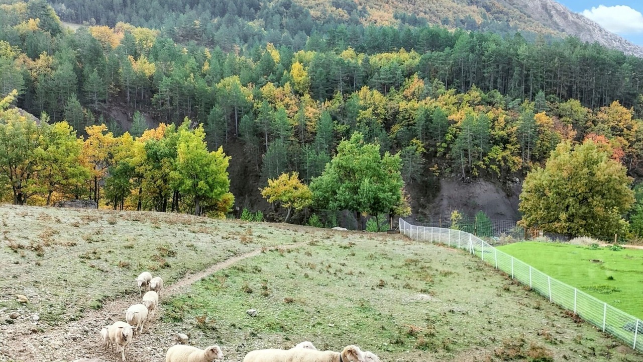 Photo of Others in Sisteron