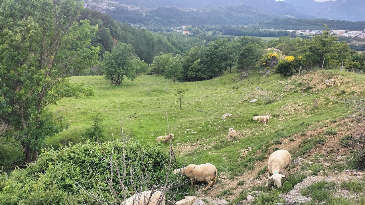Photo of Outdoor in Sisteron