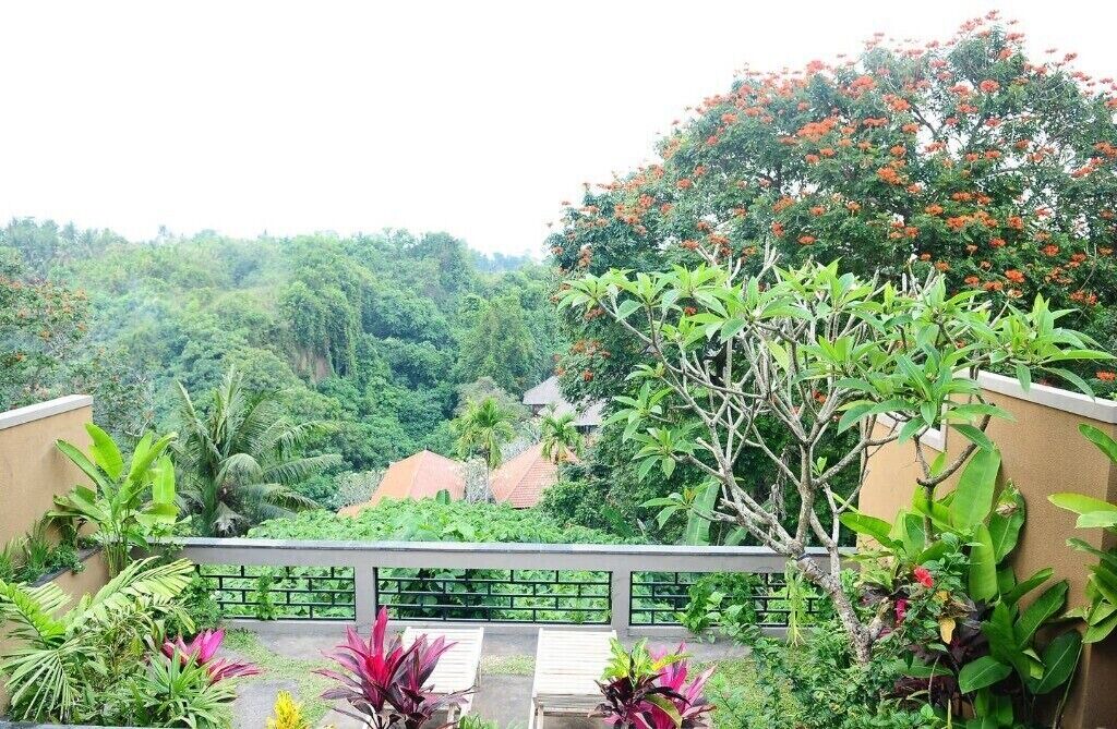 Photo of Outdoor in Batuan