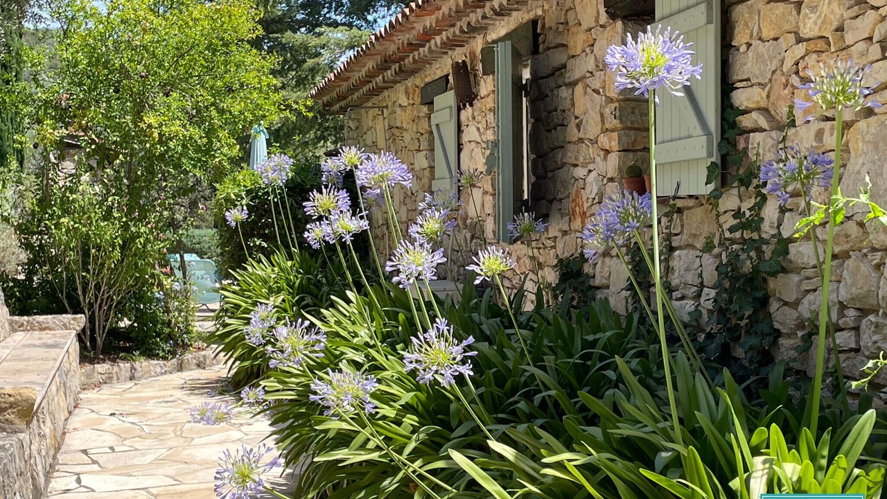 Photo of Outdoor in Callas