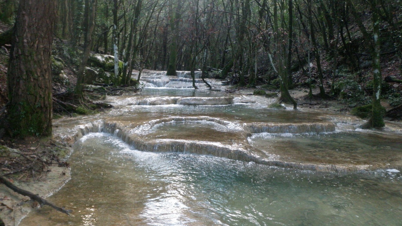 Photo of Others in Plan-d'Aups-Sainte-Baume