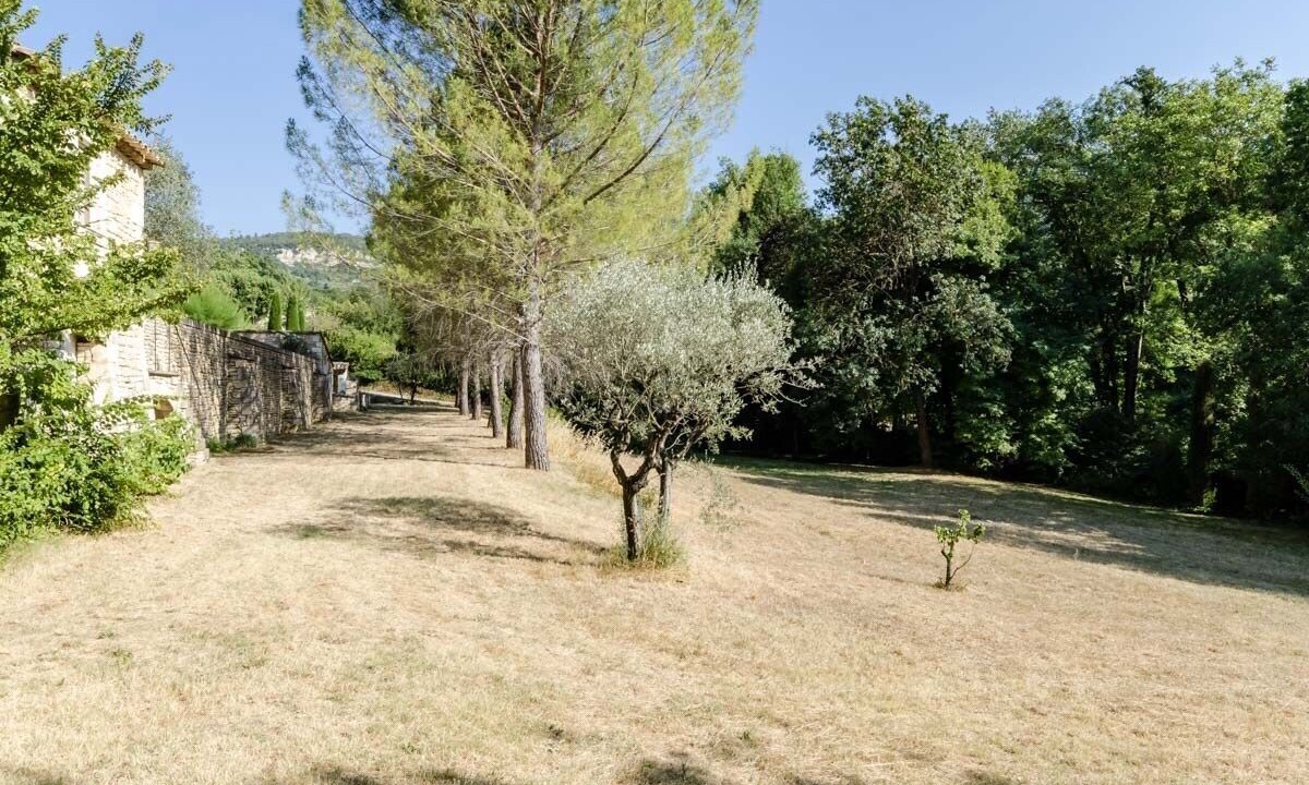 Photo of Outdoor in Saignon