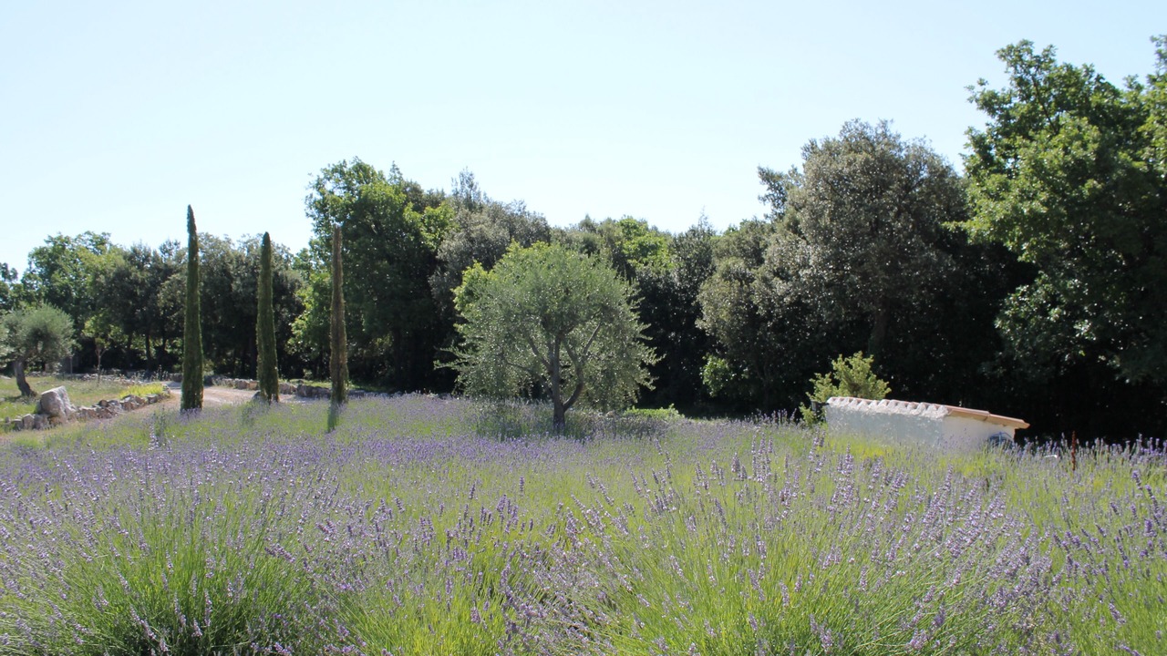 Photo of Outdoor in Mons