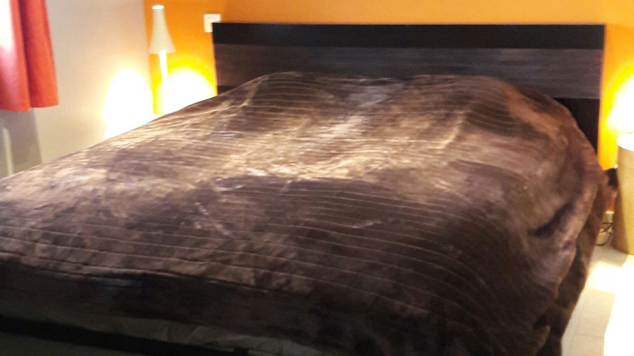 Photo of Bedroom in Plaisians