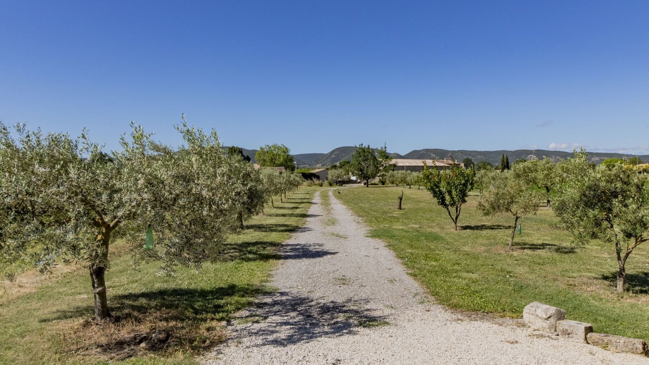 Photo of Others in Villelaure