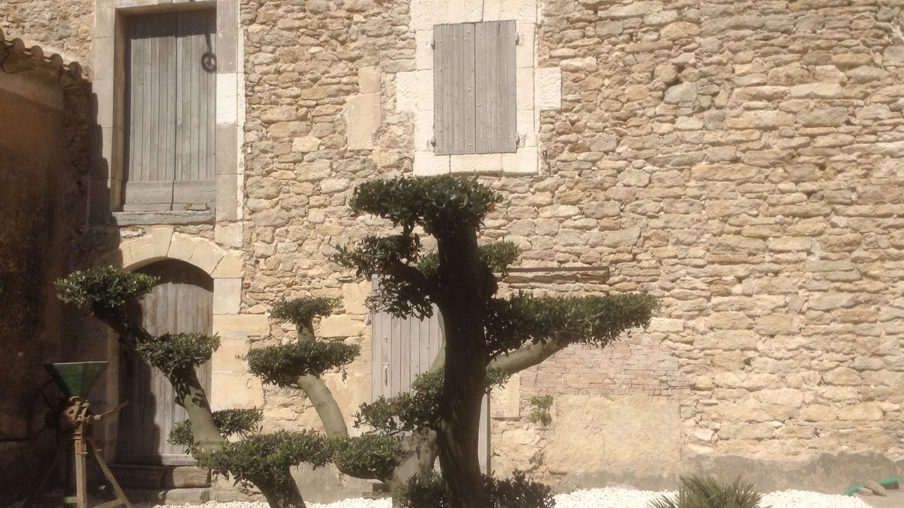 Photo of Outdoor in Menerbes