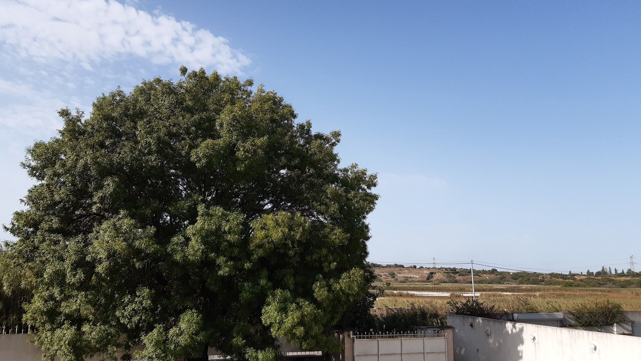 Photo of Others in Istres