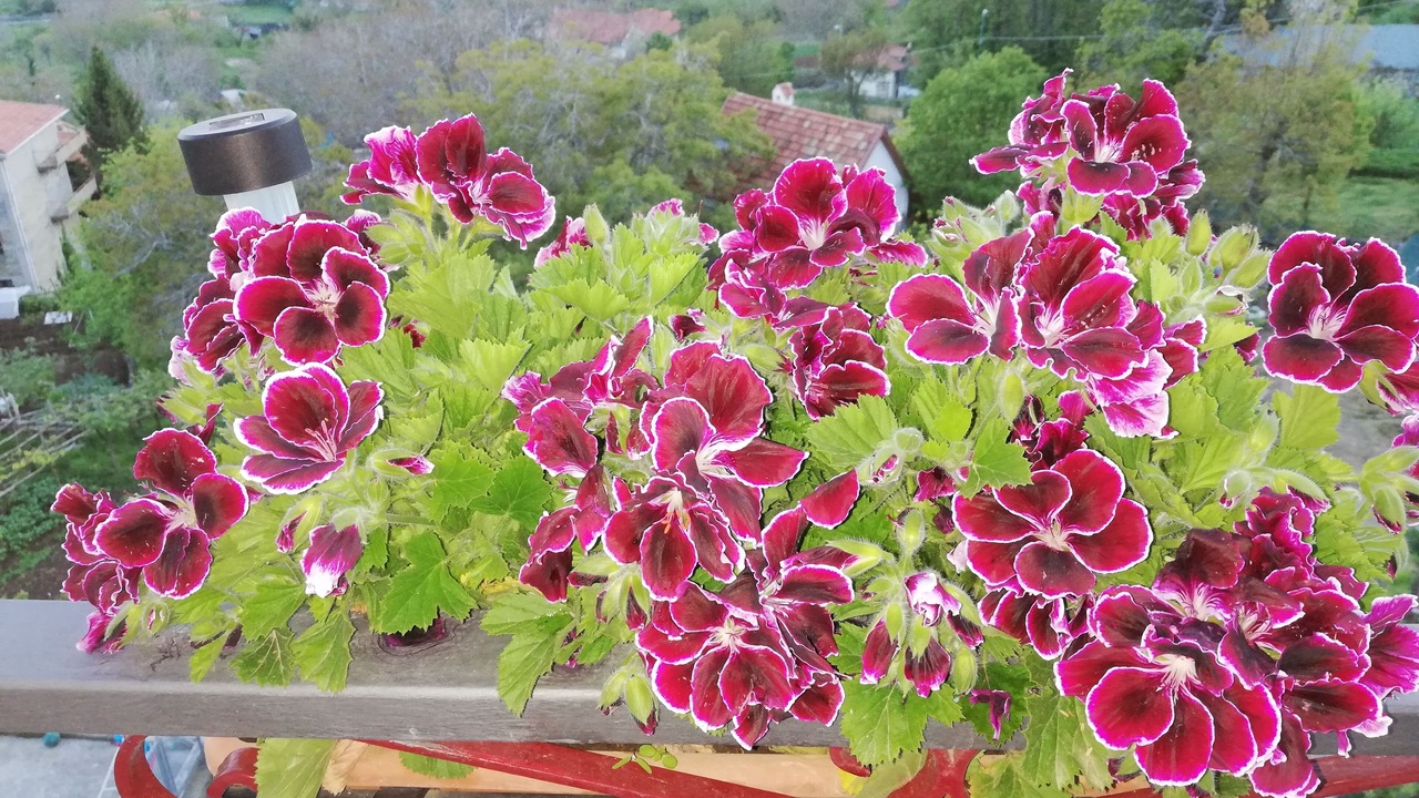 Photo of Outdoor in Agerola