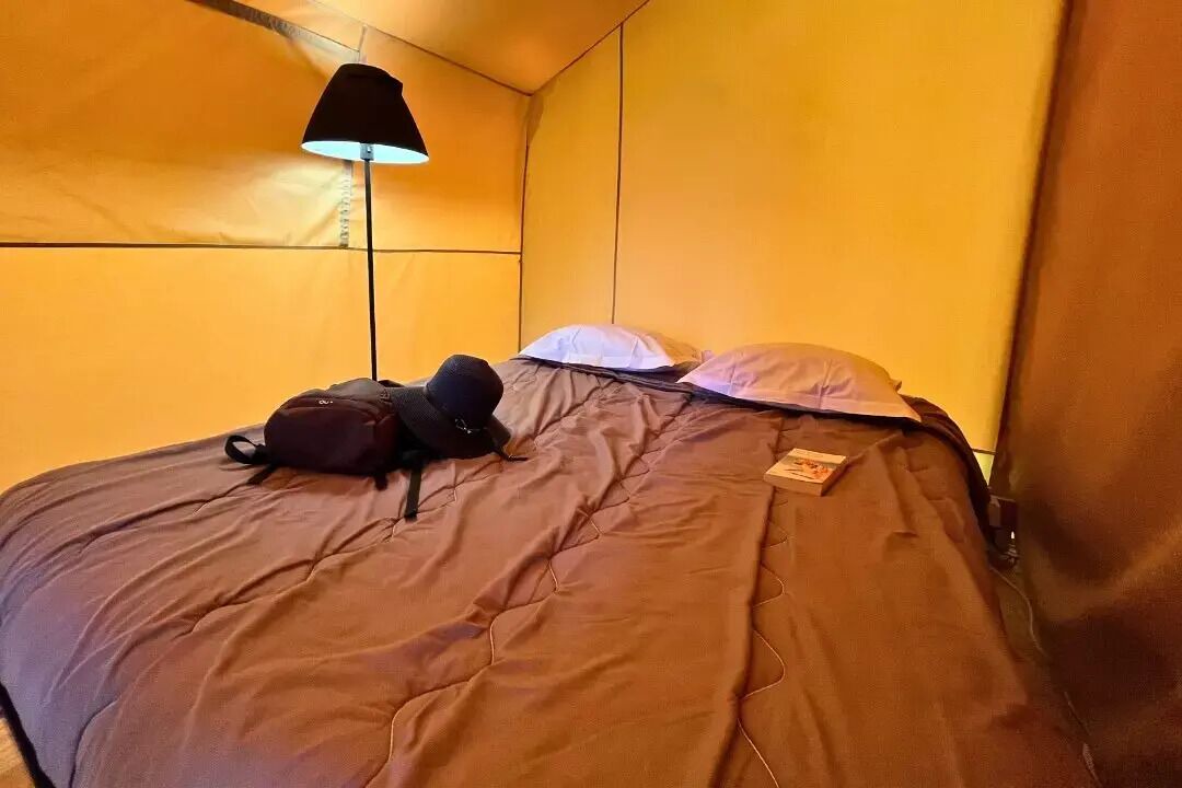 Photo of Bedroom in Apt