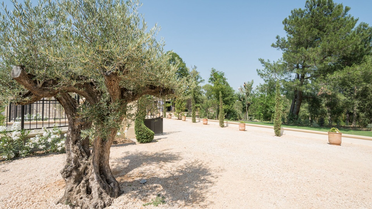 Photo of Outdoor in Remoulins