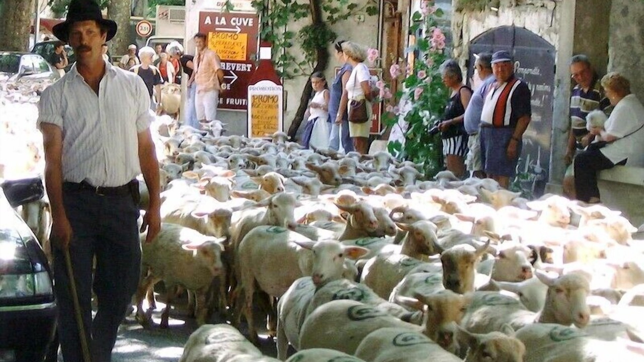 Photo of Others in Riez