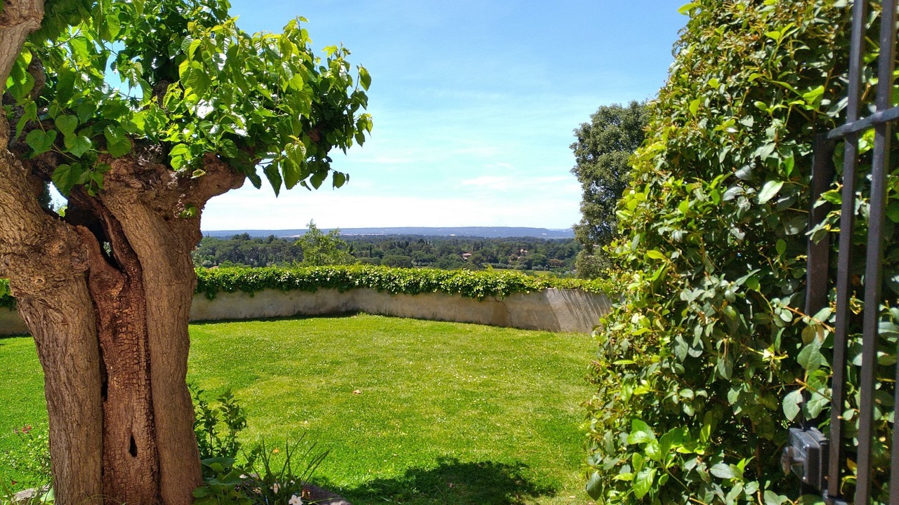 Photo of Outdoor in Grand Sud