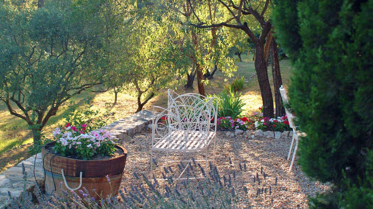 Photo of Outdoor in Lorgues