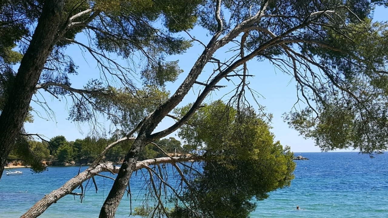 Photo of Others in La Faviere
