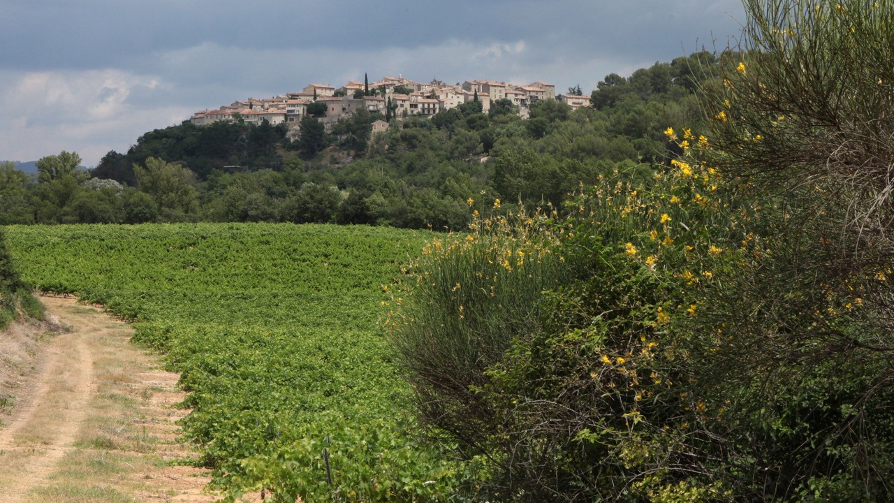 Photo of Outdoor in Cadenet