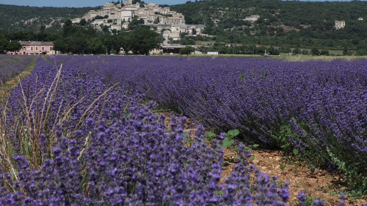 Photo of Outdoor in Cadenet