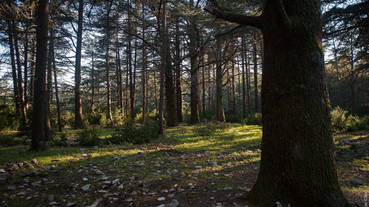 Photo of Outdoor in Cadenet