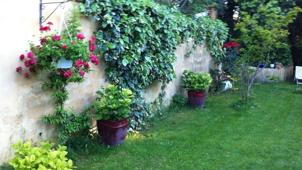 Photo of Outdoor in Saze