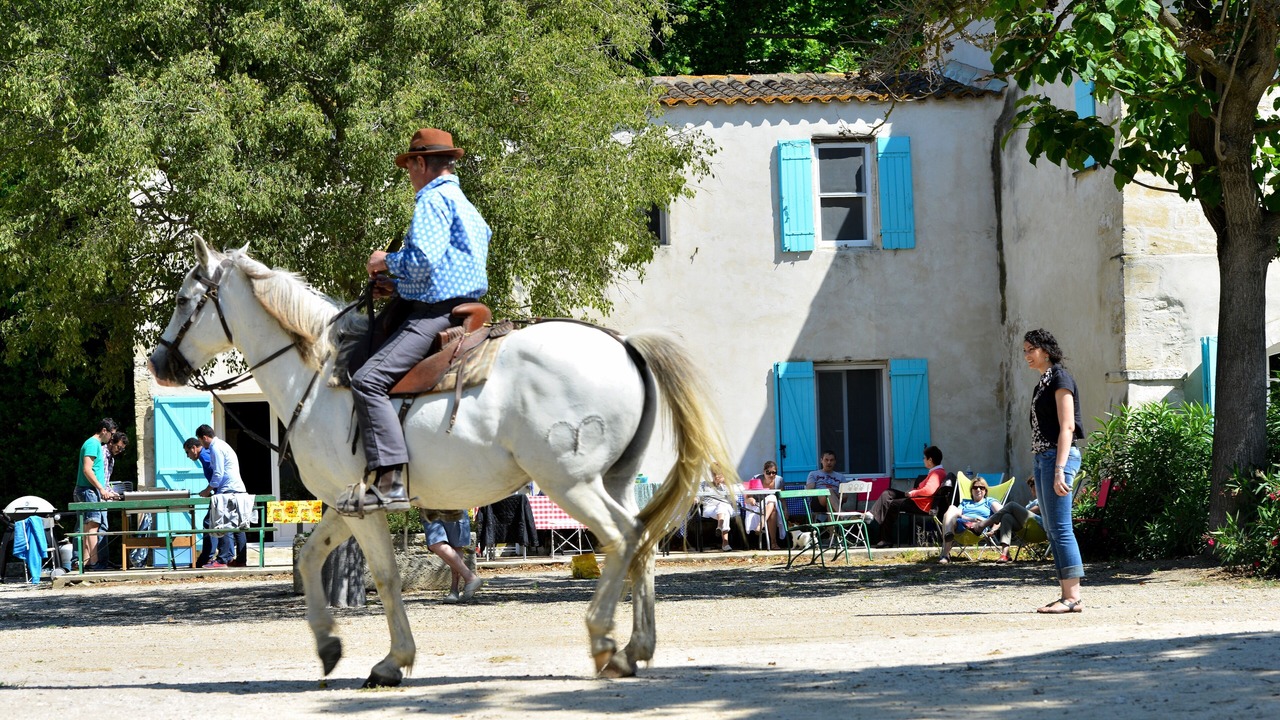 Photo of Others in Arles
