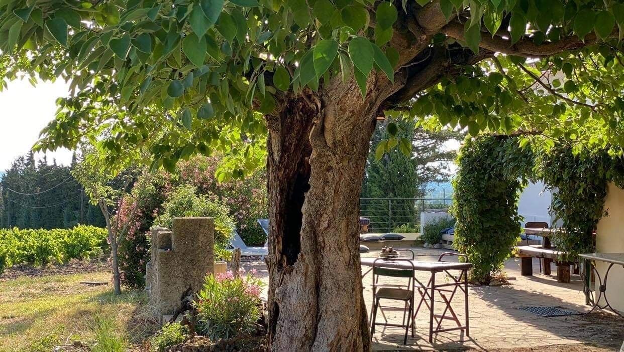 Photo of Outdoor in Vedene