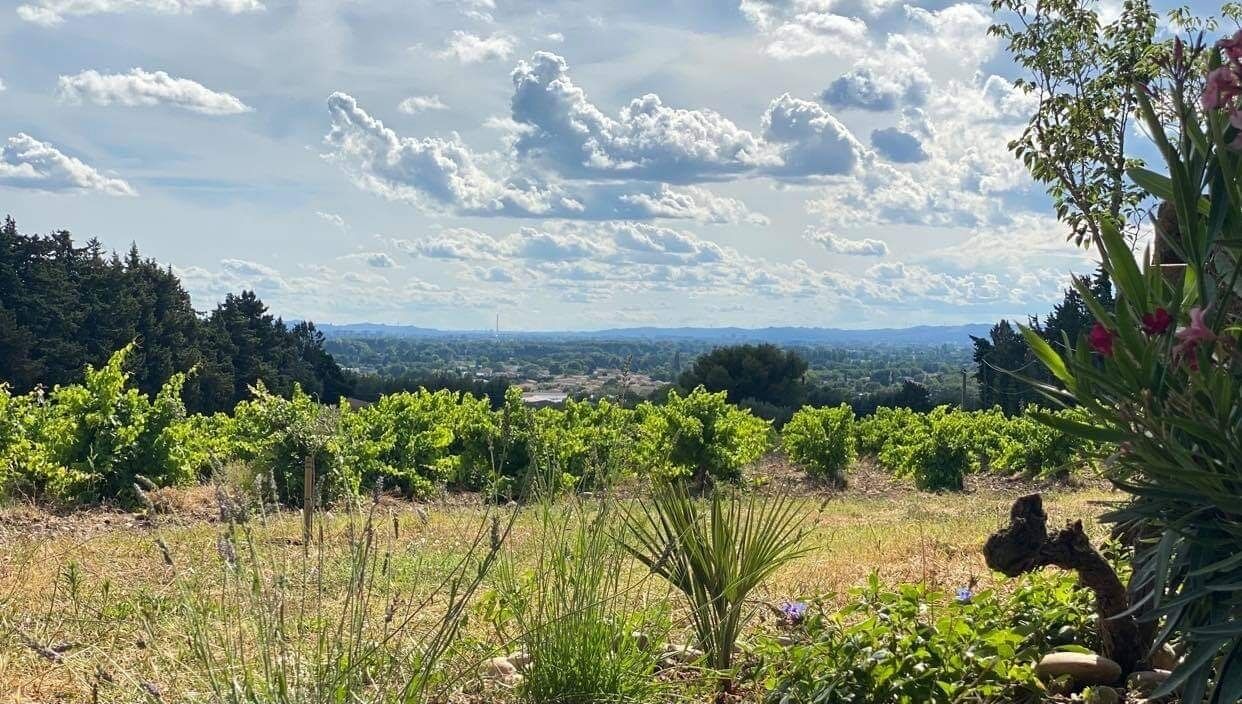 Photo of Outdoor in Vedene