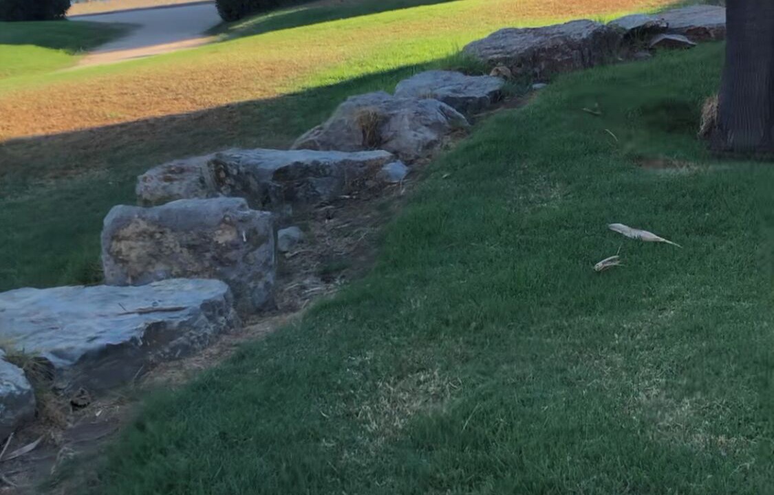 Photo of Outdoor in Miramar