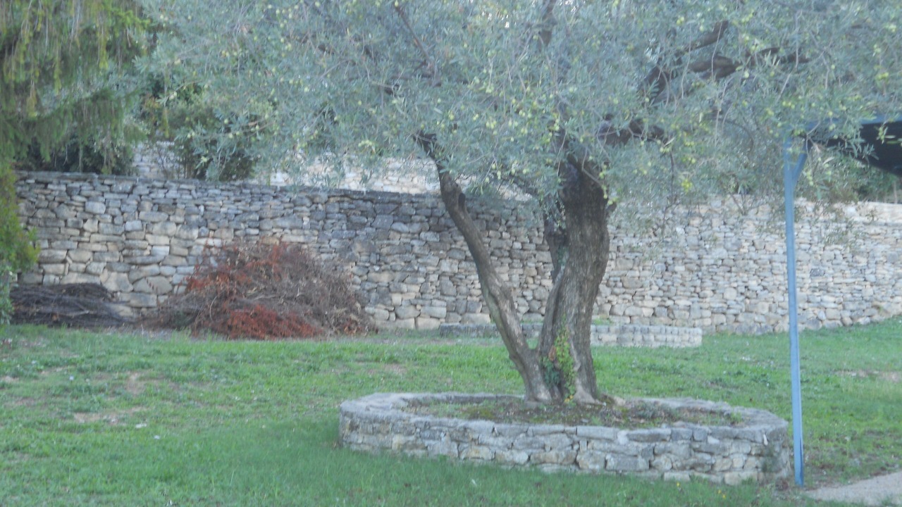 Photo of Outdoor in Crillon-le-Brave