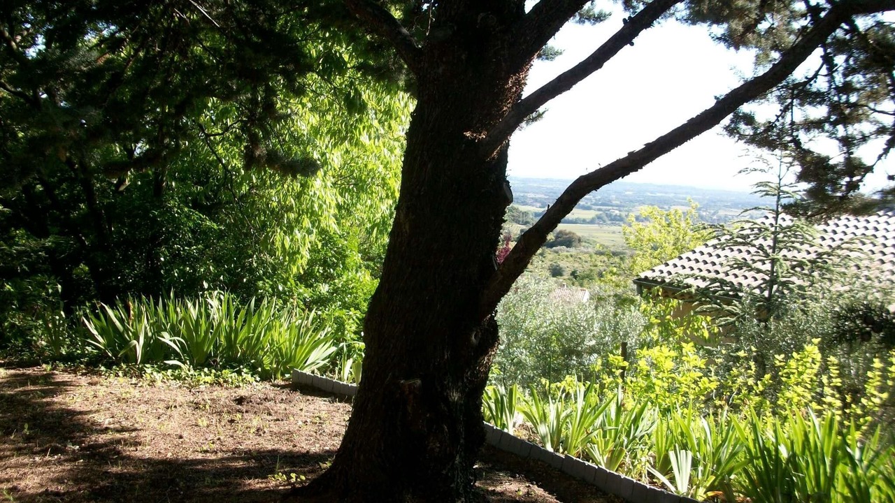 Photo of Outdoor in Crillon-le-Brave