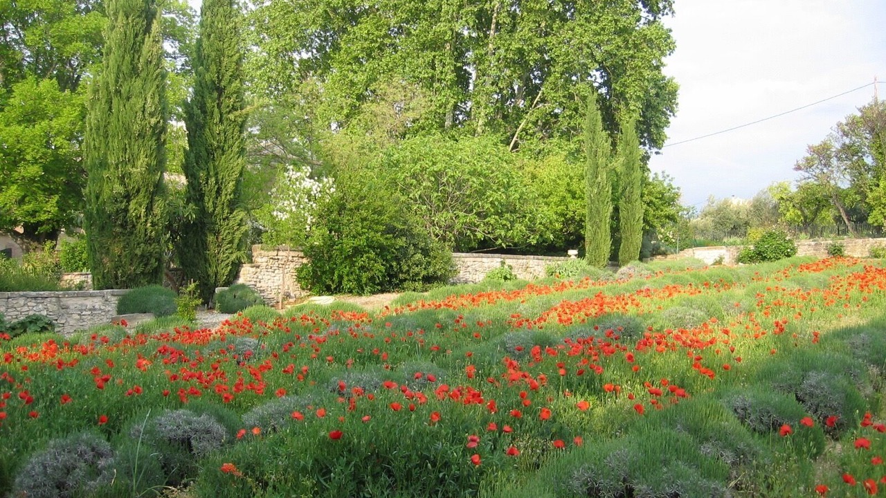 Photo of Outdoor in Caromb