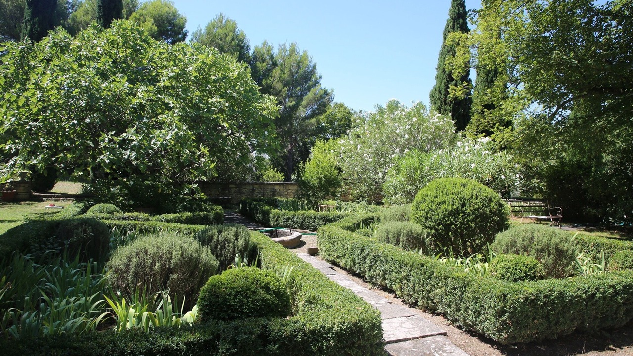 Photo of Outdoor in Caromb